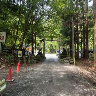 若輩者ながらこの季節にこんなに歩きに来る方が意外にも多く嬉しい❗️
今日も遊ばせて頂きます🙏
