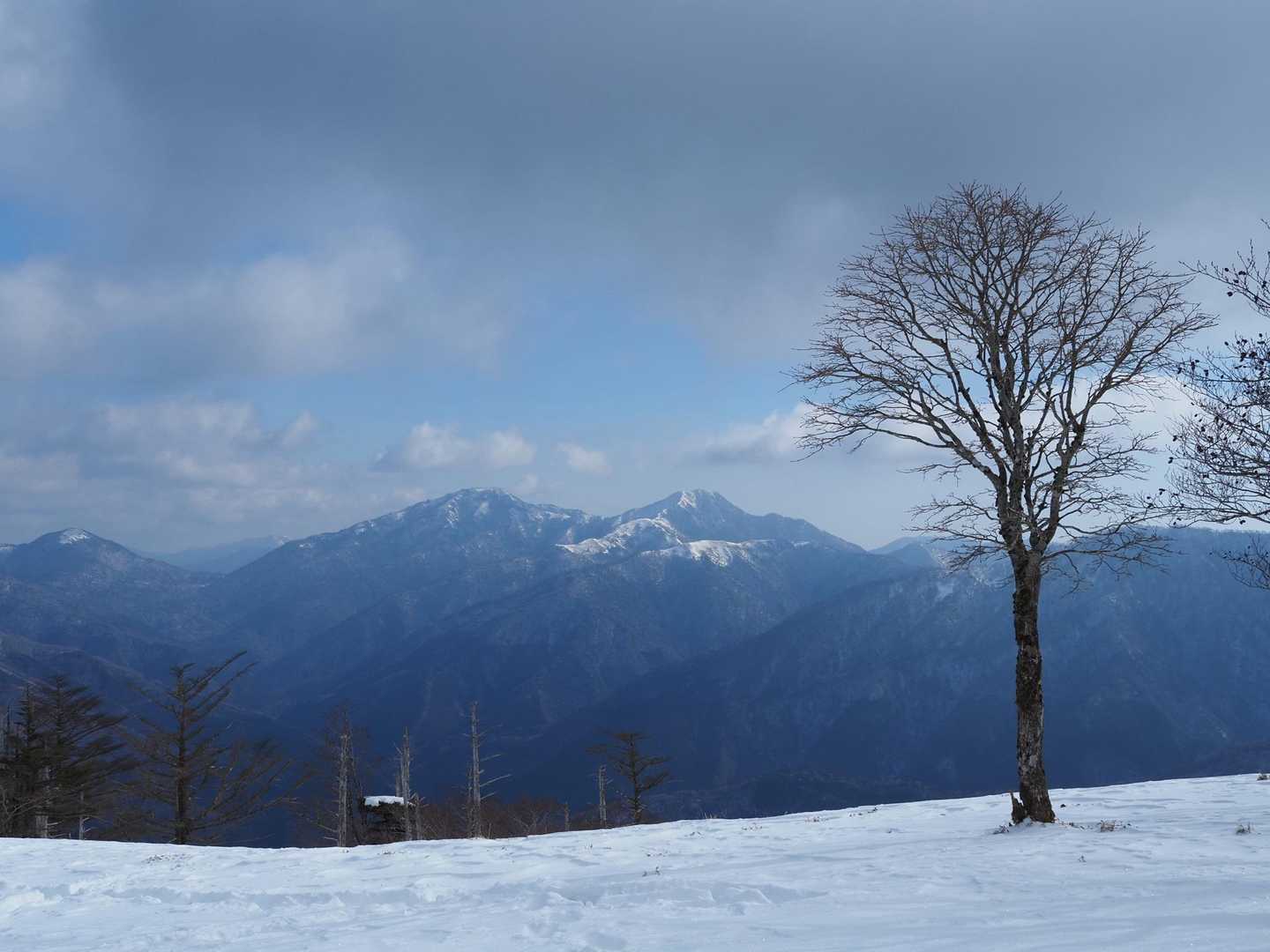 三嶺 往復コースの写真