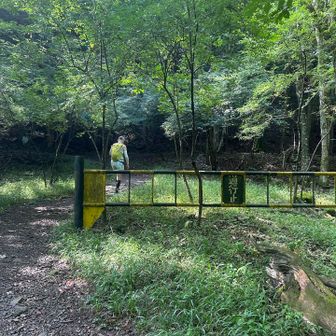 バスを降りて、本栖湖キャンプ場を通り抜け、竜ヶ岳登山口。