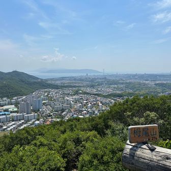 栂尾山の山頂