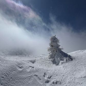 パシャリ📸が
止まらん🤣
でも寒すぎて🥶
ずっと居れません
でした😇
即、下山します🐸