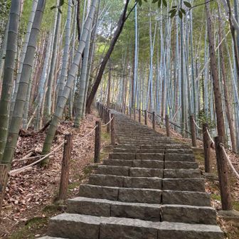 雰囲気いいです。
でも、山頂までずっと階段。