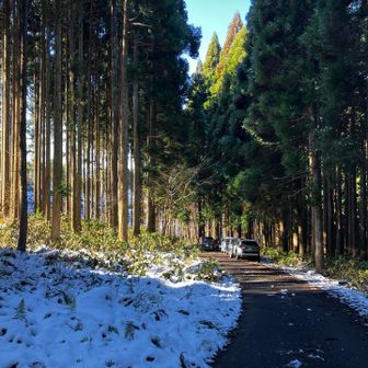 まだ駐まってますね