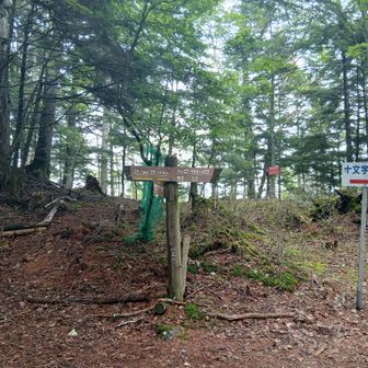 十文字峠
歩き始めから１時間強
月いちHikerとしてはいいペース