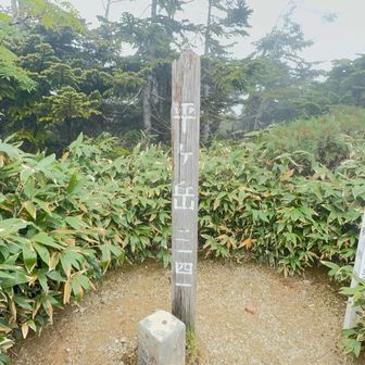着いたぁ、平ヶ岳✨