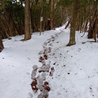 雪が積もっとる積もっとる💦