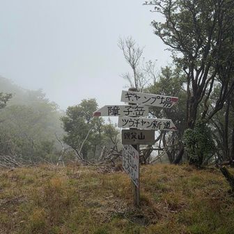 親父山山頂。ガス