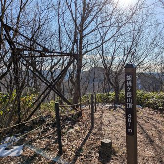 ひとまず胡桃ヶ岳山頂　こんなにすぐだったっけ？