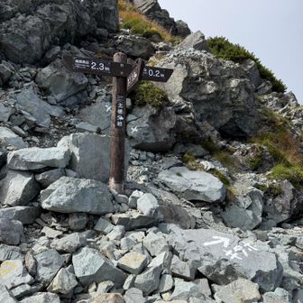 分岐！南稜はここからすぐです