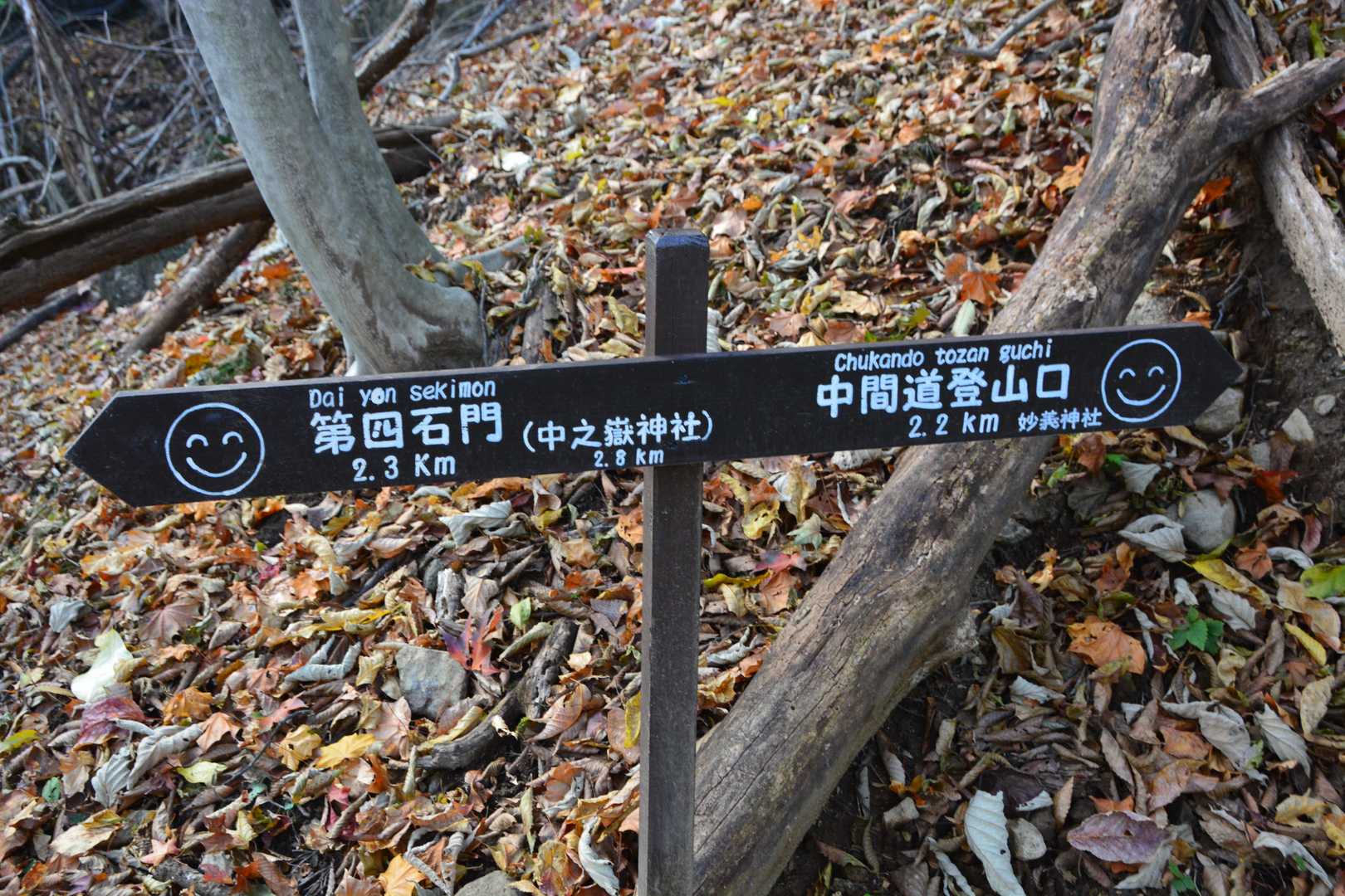 中間道は、顔文字の表情が優しい。