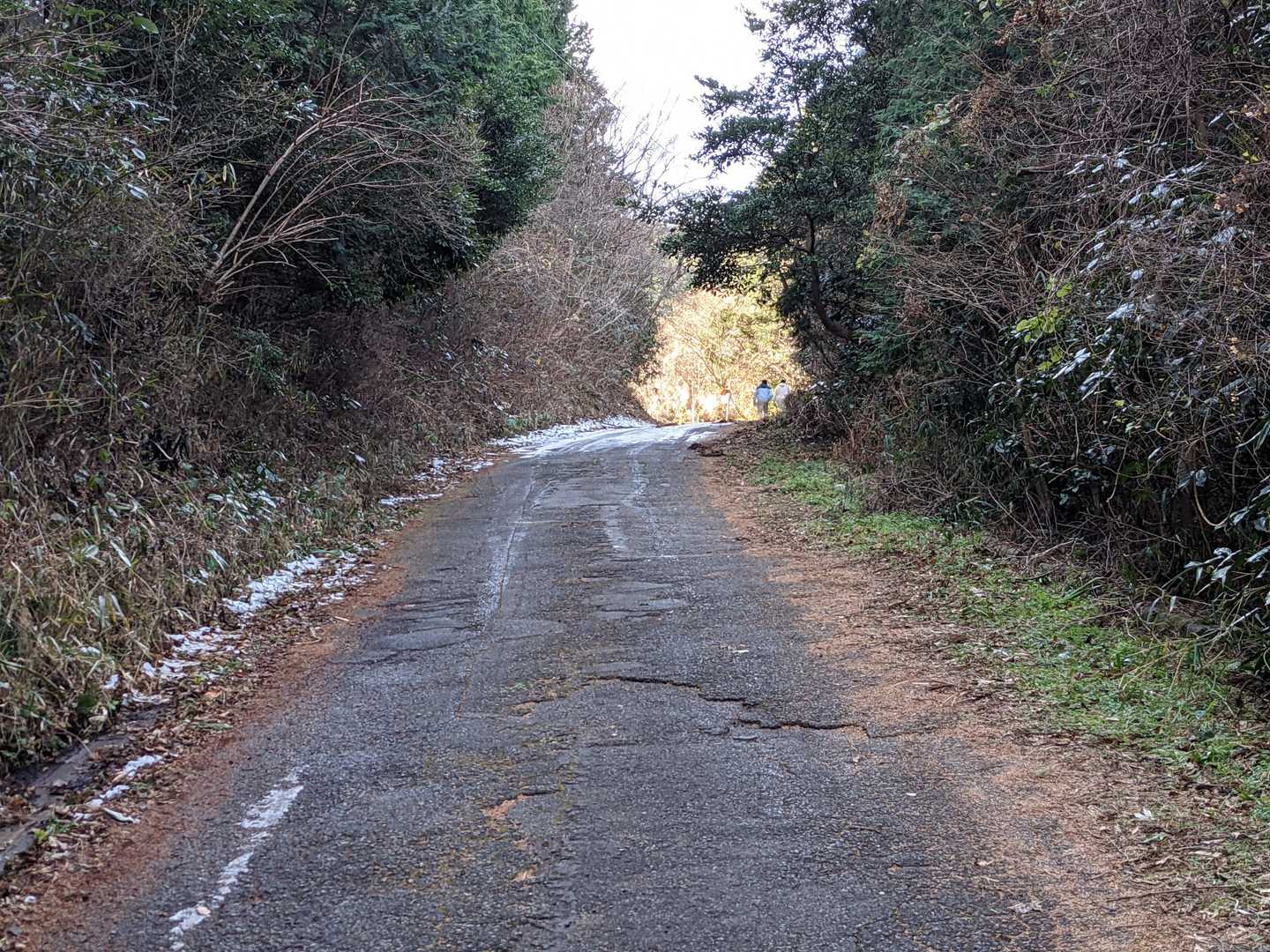 この登り坂に雪が残っていて🅿までたどり着けないようで、この下の道沿いに皆さん駐車していました。

車を停めてこれから歩く地元と思われる方に、山頂（広場と言ってました😅）までどれ位の時間か聞かれたので小一時間かかるのではと伝えたらげんなりしてました(^o^;)
自分は興津駅から数時間かけて歩いて来たと言ったらすごーくビックリされました。ですよね😅