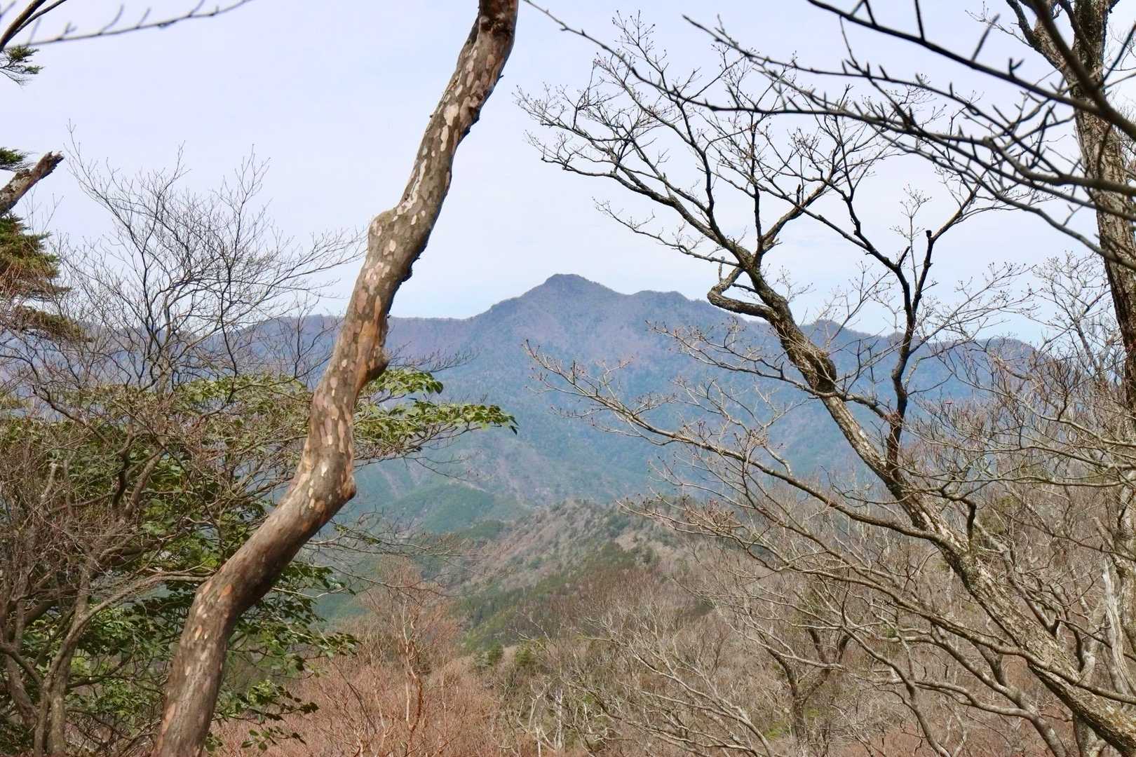 復路はずっと正面に見える傾山
やっぱり、いつかはこの杉ヶ越ルートで行かないといけないな😁
