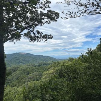 山頂より