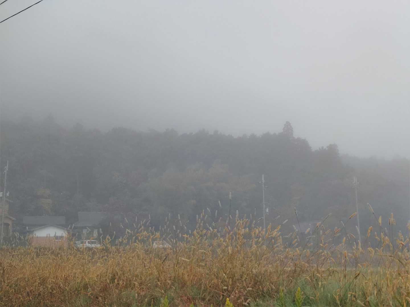 朝霧が濃い。雲海が楽しみ、という以前に、この霧のなかを歩いていけるのだろうか。