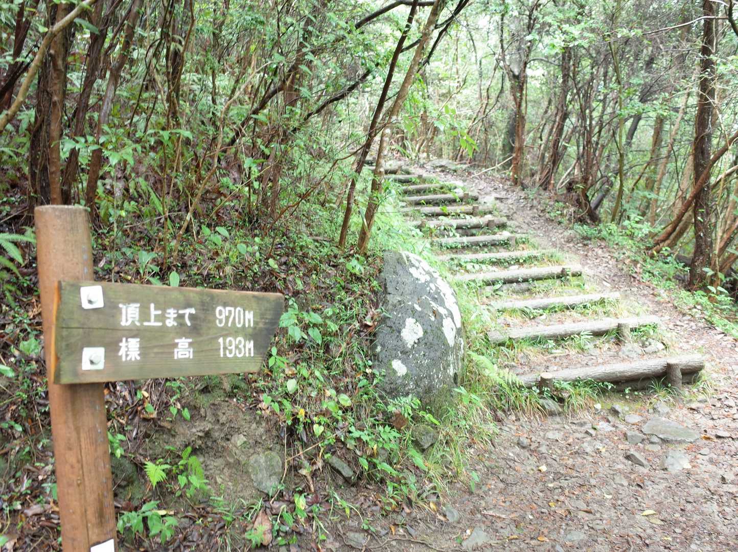 ここから、