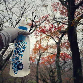 水場の紅葉