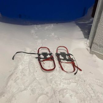新雪が降りフワフワの雪❄️スノーシューで行ってみよう😁