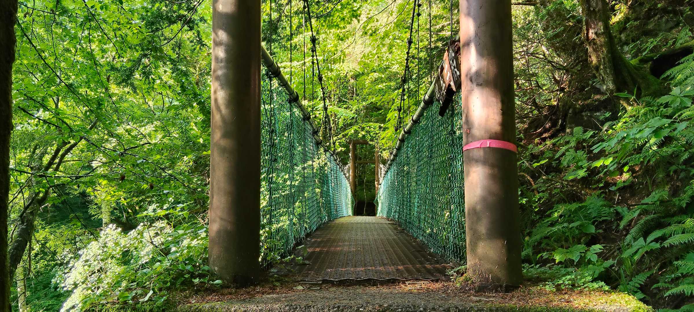 三股登山口を出発し　鳥川（からすがわ）が流れる橋を渡り蝶ヶ岳へ🦋