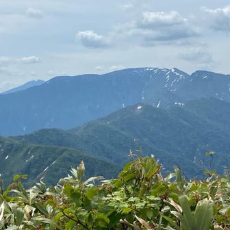 上越国境🇯🇵と平ヶ岳🏔️
平ヶ岳の尾根向こうは恋ノ岐❤️
ラブラブ🩷の恋ノ岐で岩魚達との戦い🪖懐かしい