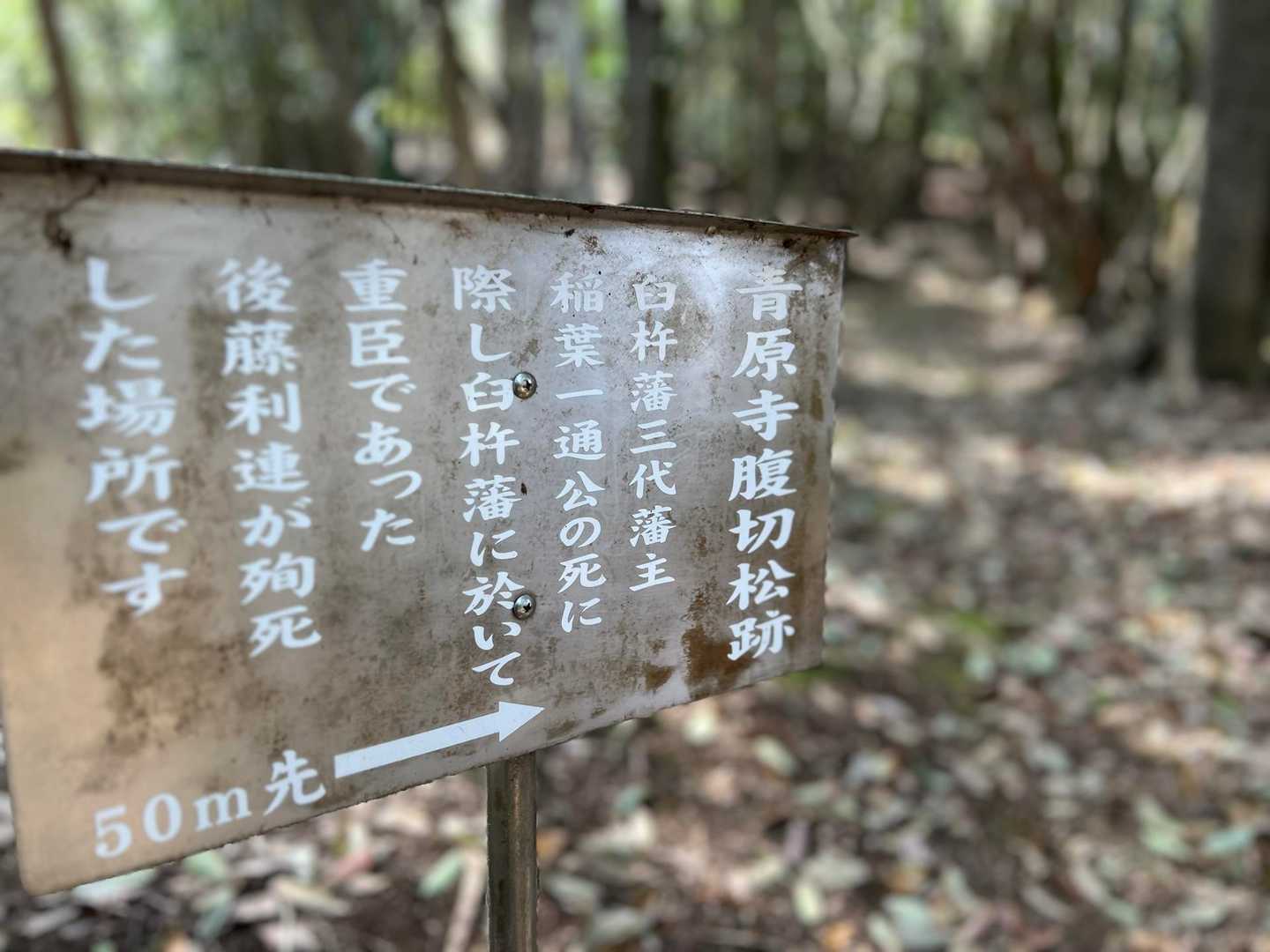 山頂から朝日を見るのも良さそうと思ったけど、これ見たら朝駆けは無理😱