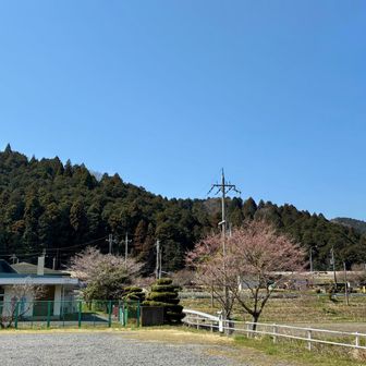 駐車場🅿️に戻りました。
