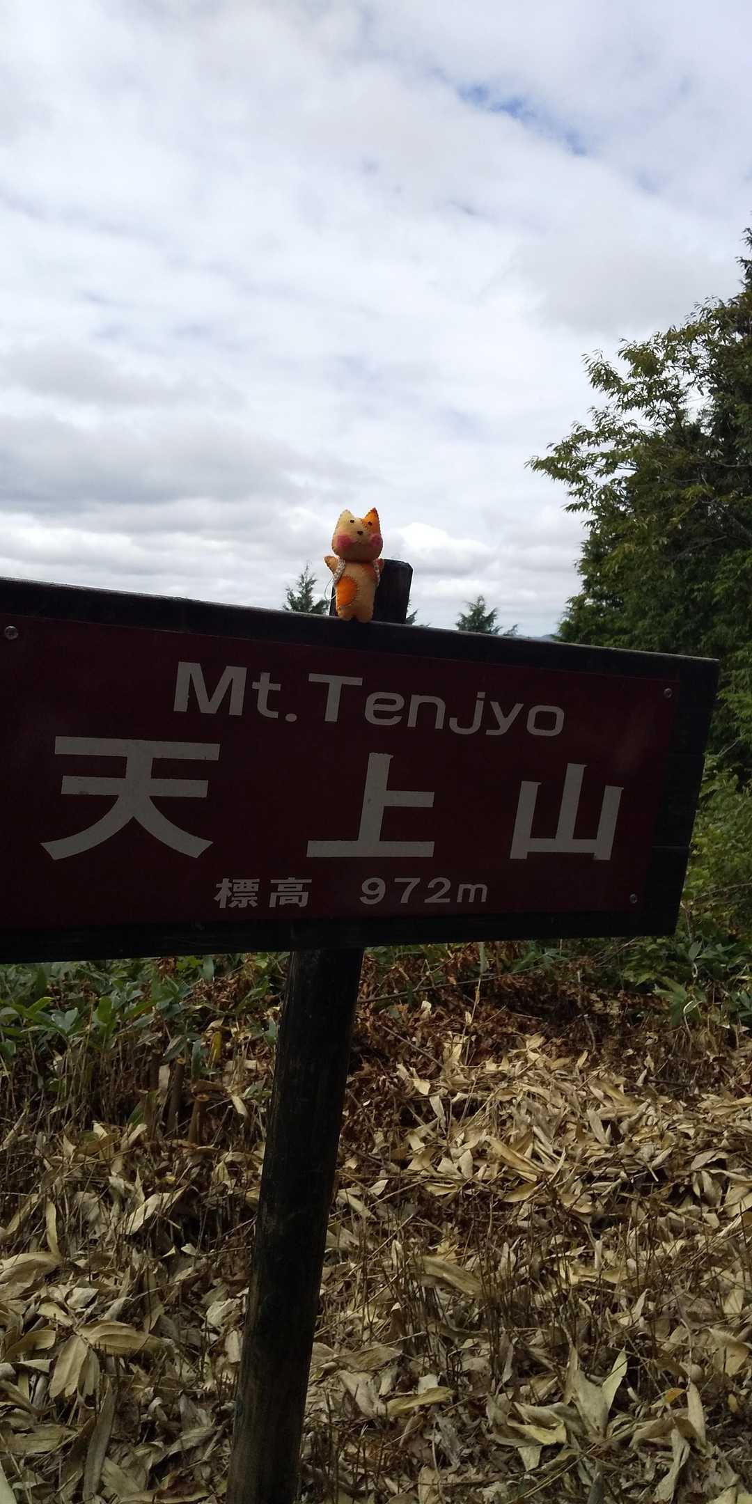龍頭峡交流の森 森林館-天上山登山口-天上山 往復コースの写真