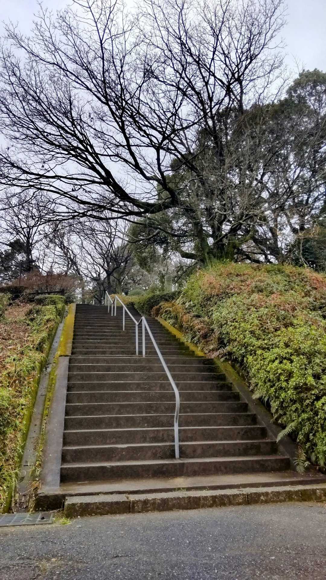 さて、ここから階段✊