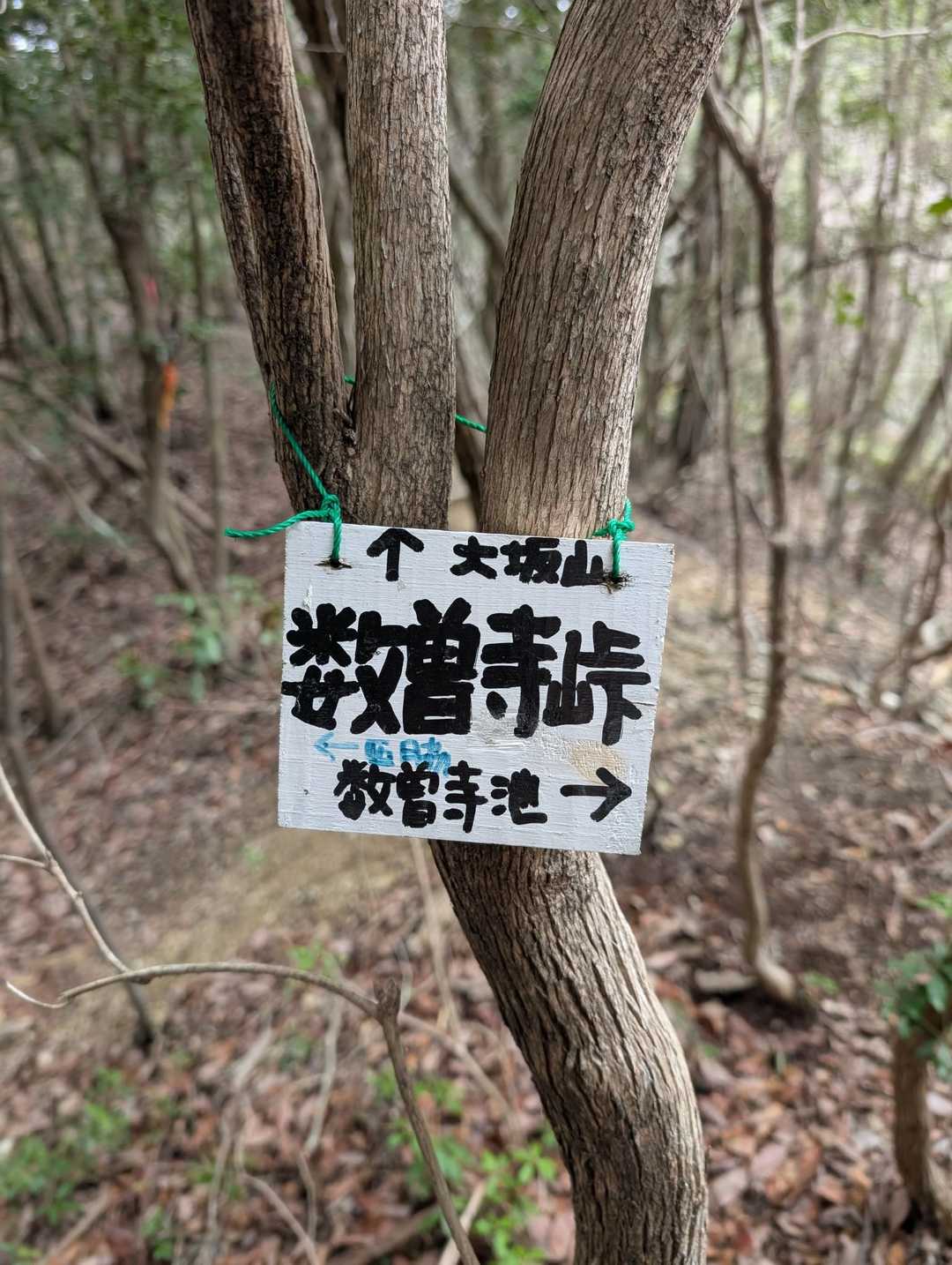 
登山口からロード〜石がゴロゴロな平坦なみち

谷筋あるいてきましたからね〜何度か渡渉をくりかえしながら峠にとうちゃく

🈁から一気に登らさる💦
