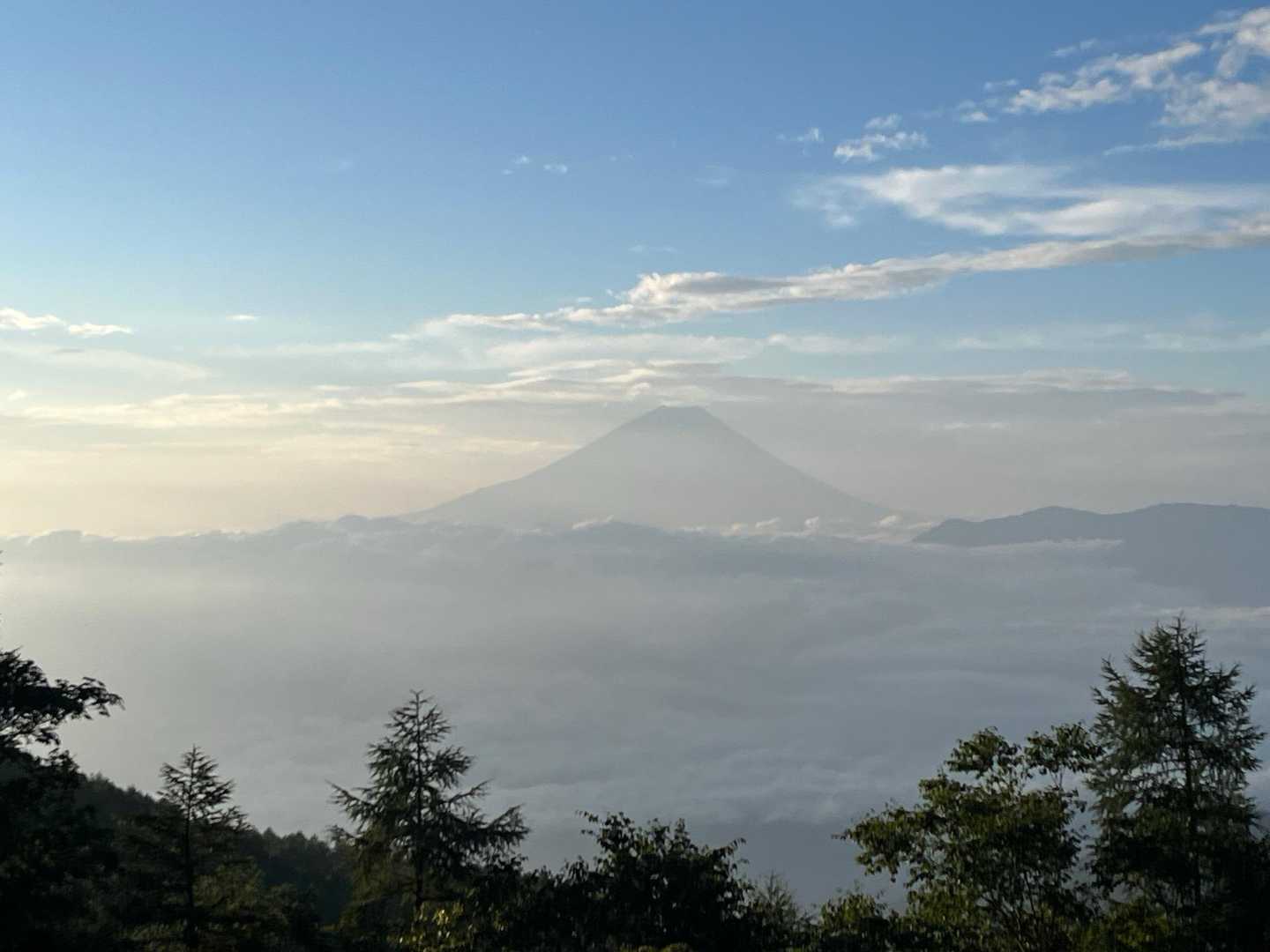 櫛形山周回 | 富士山や白峰三山を見渡す展望峰は、アヤメの大群落を抱く花の名山の写真