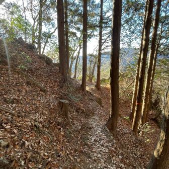 山頂から少し歩くと踏み跡があって開けた場所にでられる(広くはないです)