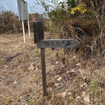 “頂上三角点”を目指して進むと…