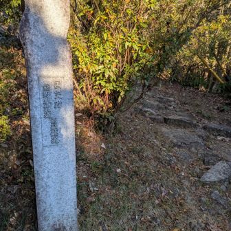 国史跡 熊野参詣道 馬越峠道