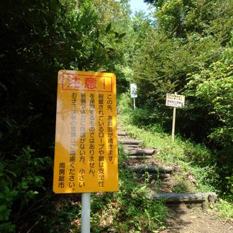 ここから鎖場