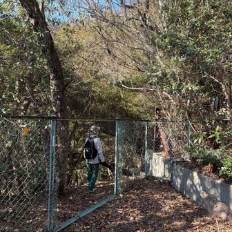 ここから東屋に行きます