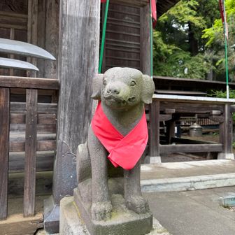 たまねぎ