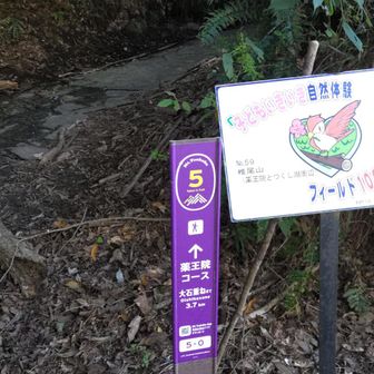 ここからスタート