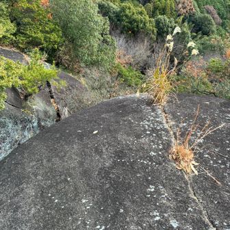 足元は岩壁。気をつけましょう。