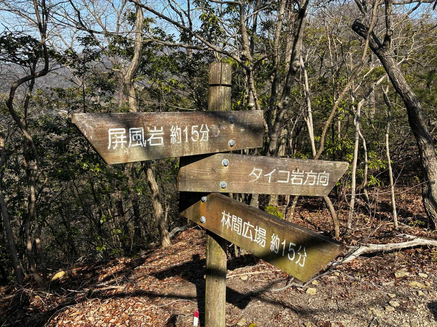 ここから林間広場の方へ下山です☺️