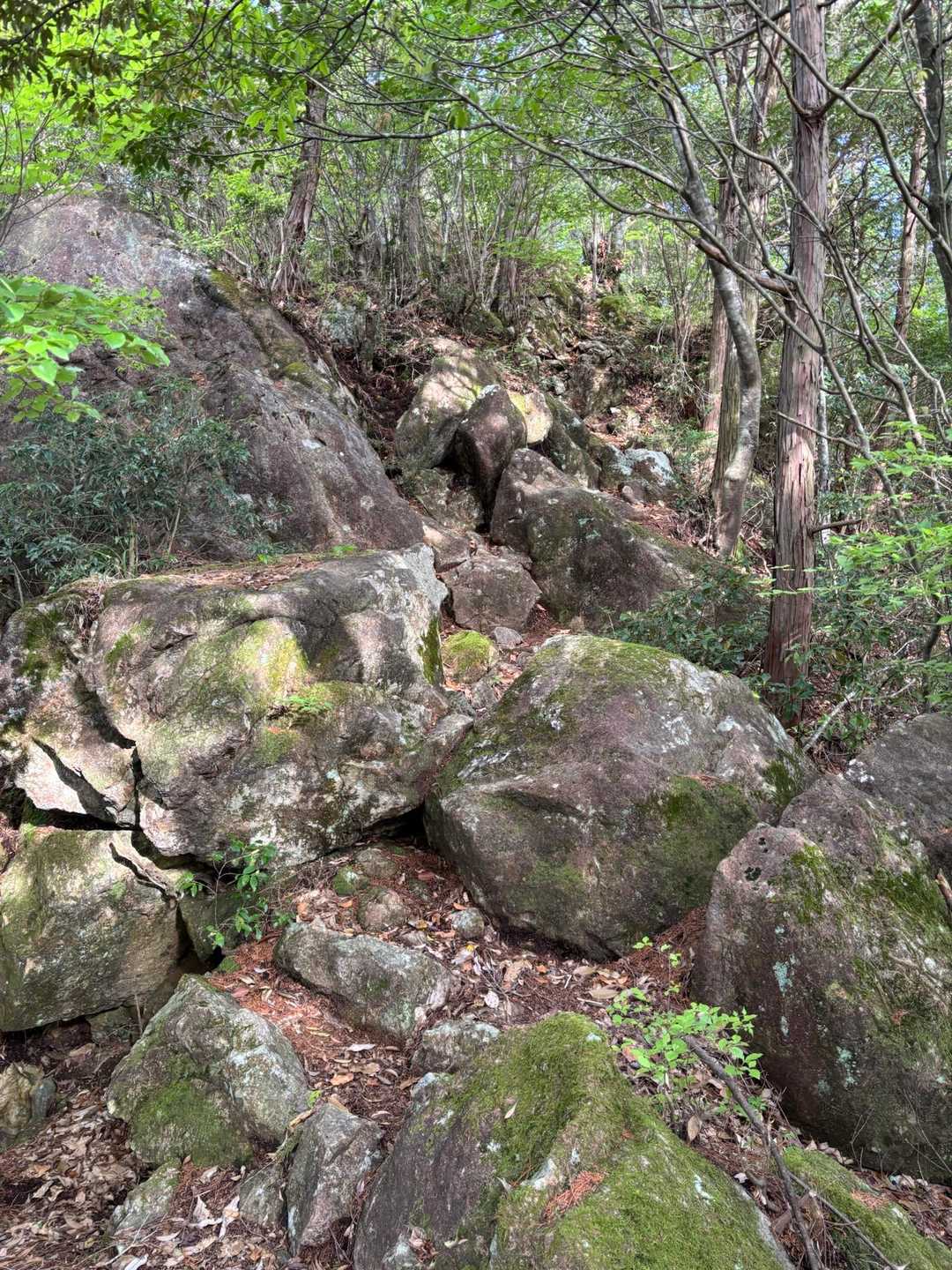 しばらくすると、岩場の登山道。