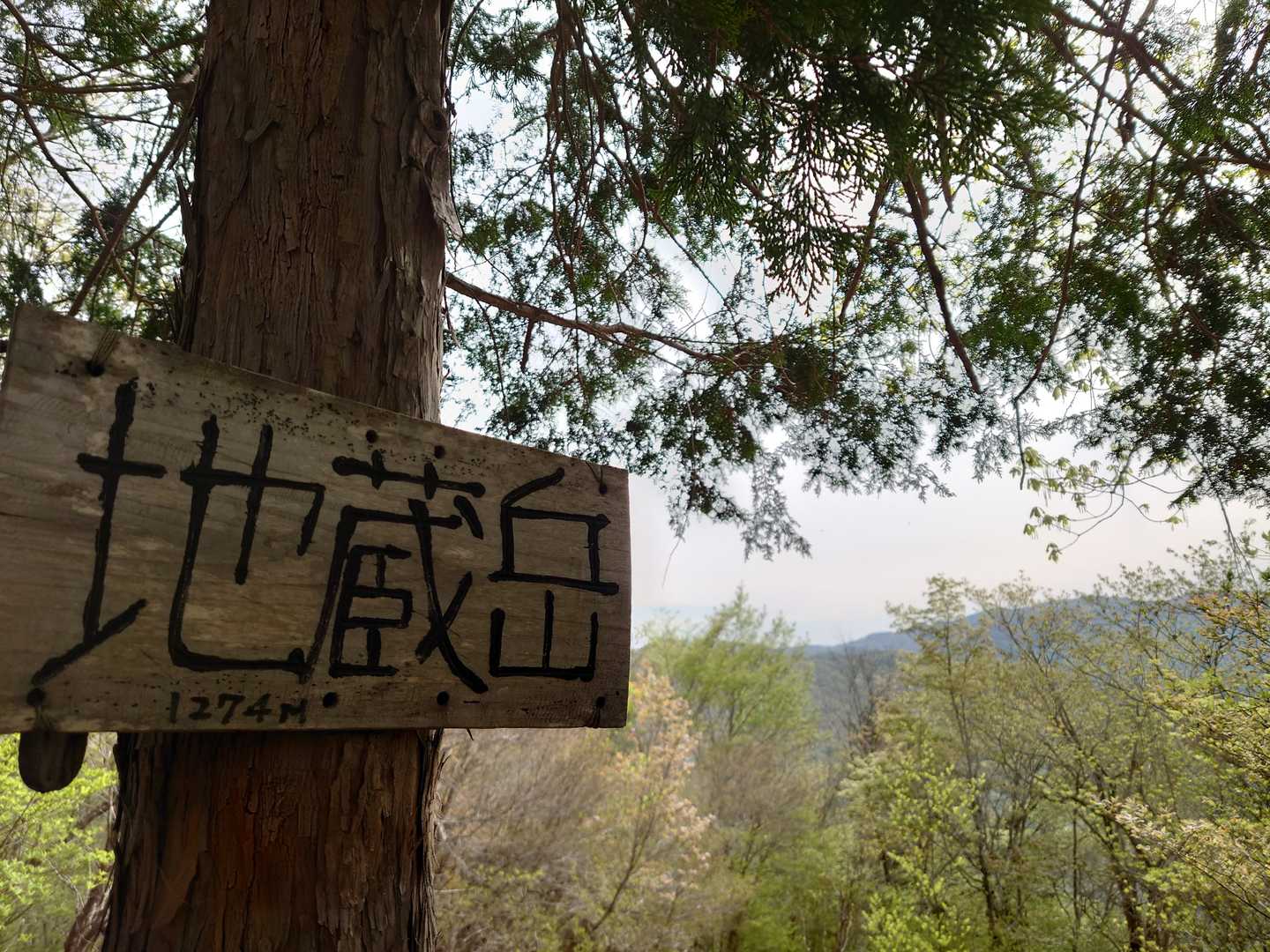 地蔵岳
前地蔵岳に行こうと思いましたが、
下の方から、ガサガサガサ…ッ‼️
なんだか分からないから前地蔵岳に降りるのはやめました……泣