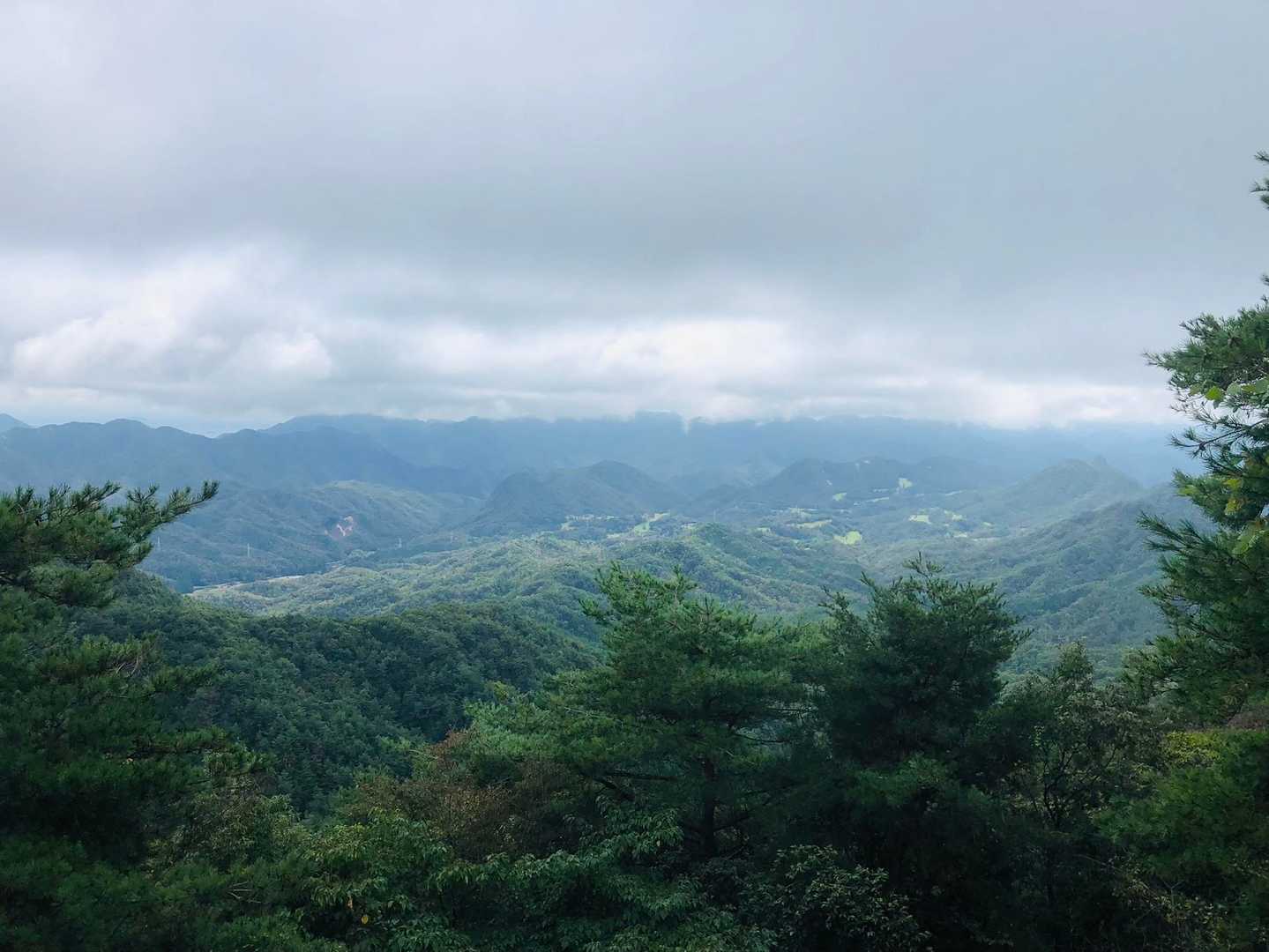 ⛳が見えました
佐伯カントリークラブか鷹の巣ゴルフクラブ