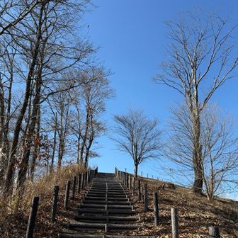 車に荷物を置いてカメラだけ持ってさくら山へ行ってきまーす❣️