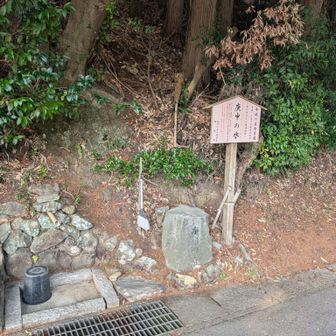 舗装路を歩いたからこそ出会えた名水。だが、今日は枯れている。