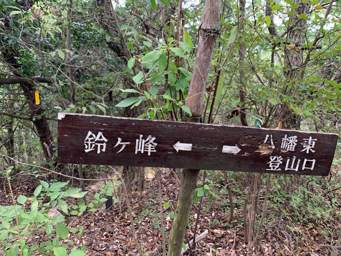 己斐峠-柚木城山-見越山-鬼ヶ城山-鈴ヶ峰-鈴ヶ峰-鈴ヶ峰 縦走コースの写真