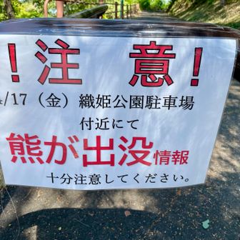 熊が出たって🐻⚠️