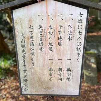 女坂から登ります
七不思議があるのですね
登山者や参拝者をを飽きさせないです☺️