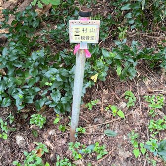 2座目の志村山へ