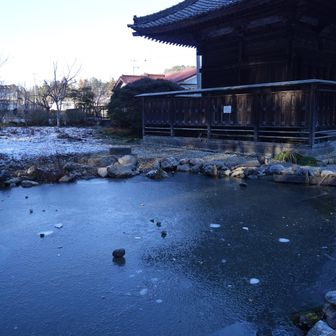 カッチカチ
氷の下に鯉見えたけど動いてなかったぞ。。。