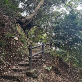 ここまで来れば大丈夫かな
すでに相方さんはお尻も泥だらけ
私は靴底だけ泥だらけ