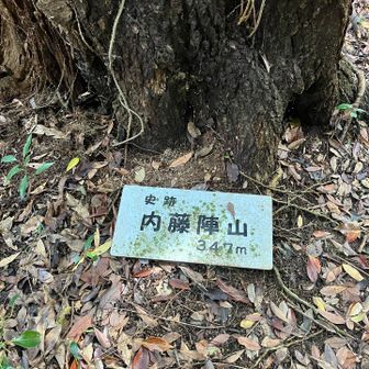 山道から少し高くなった左⬅️側のところに山頂ありました。YAMAP見ながら歩かないと、見落としてしまいます。
内藤陣山347m山頂